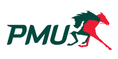 Réseau expert en support multilingue Logo